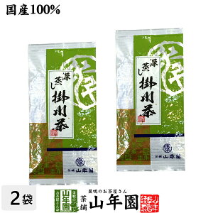 y|쒃z|[100g×2܃Zbg  [  Y t É  Β Mtg Ε Ε 2025 v`Mtg  j v[g җj j    蕨 