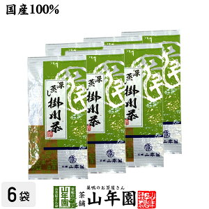【掛川茶】掛川深蒸し茶100g×6袋セット 送料無料 深蒸し茶 煎茶 国産 茶葉 静岡茶 お茶 緑茶 ギフト お歳暮 御歳暮 2025 プチギフト お茶 内祝い プレゼント 還暦祝い 男性 女性 父 母 贈り物 香
