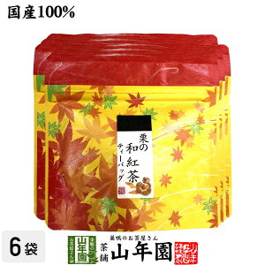 yY100%zI̘ag eB[pbN 2g×5×6܃Zbg eB[obO N _CGbg Mtg v[g Ε Ε v`Mtg  j `C 2025