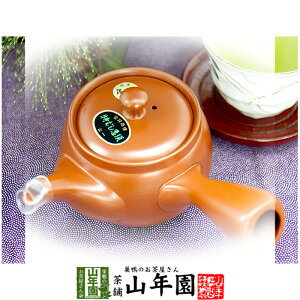 【急須】特むし急須 常滑焼 380ml用 送料無料 国産 茶葉 おしゃれ おすすめ 陶器 大 かわいい セット ギフト 誕生日プレゼント お歳暮 御歳暮 プチギフト お茶 2025 結婚内祝い 出産内祝い お返