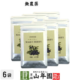 【無農薬マキベリー】マキベリー パウダー 粉末 30g×6袋セット チリ産 無農薬栽培 送料無料 ダイエット サプリ スムージー 無農薬 マキベリー スーパーフード ギフト プレゼント 母の日 父の日 プチギフト お茶 2024 内祝い お返し