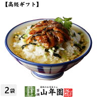 【高級 ギフト】穴子茶漬け×2袋セット 送料無料 具材が丸ごと乗った お茶漬け ギフト プレゼント いか …