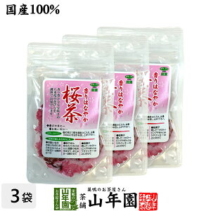 yY100%z 40g×3܃Zbg  璃   TN Y { TN t w _CGbg Mtg v[g j Ԃ Ε Ε v`Mtg 2025  j 