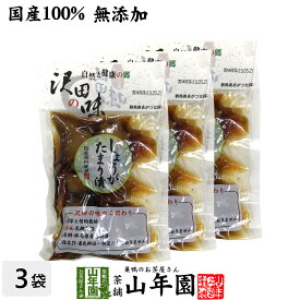 【国産原料使用】沢田の味 しょうが たまり漬 100g×3袋セット送料無料 自然と健康の郷 群馬県吾妻郡産 健康 ダイエット ギフト プレゼント 母の日 父の日 プチギフト お茶 内祝い チャイ 2024