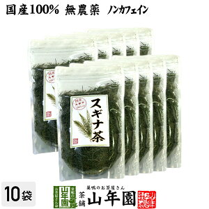 yY 100%zXMi 70g×10܃Zbg _ mJtFC {茧Y  Ȓ N Dw _CGbg 蕨 Mtg v[g Ε Ε v`Mtg  2025 j 