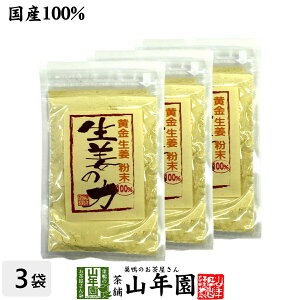 しょうが 粉末 国産 生姜の力 55g×3袋セット 黄金生姜100%の生姜粉末 しょうが 粉末 生姜力 ギフト 贈り物 健康 ダイエット ぽかぽか お土産 おみやげ ギフト プレゼント 内祝い ジンジャーテ