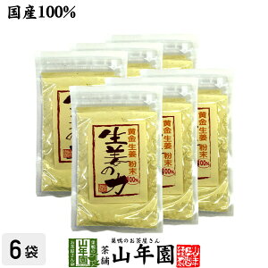 しょうが 粉末 国産 生姜の力 55g×6袋セット 黄金生姜100%の生姜粉末 しょうが 粉末 生姜力 ギフト 贈り物 健康 ダイエット ぽかぽか お土産 おみやげ ギフト プレゼント 内祝い ジンジャーテ