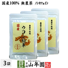 【国産 無農薬 100%】ウコン 粉末 30g×3袋セット パウダー 秋ウコン 山梨県産 ノンカフェイン 送料無料 ウコン茶 うこん ウコン粉末 サプリ セット ギフト プレゼント 父の日 お中元 プチギフト お茶 2024 内祝い お返し