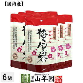 梅こんぶ茶 うめ昆布茶 24g（2g×12袋）×10袋セット 送料無料 美味しい梅こんぶ茶 ウメ昆布茶 梅昆布茶 ホワイトデー プチギフト お茶 2026 ギフト プレゼント 内祝い 還暦祝い 男性 女性 父 母 贈り物 香典返し 引越し 挨拶品 お祝い 人気 おすすめ 贈物
