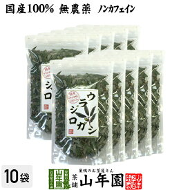 【国産 100%】ウラジロガシ茶 100g×10袋セット 宮崎県産 ノンカフェイン 無農薬 送料無料 ウラジロガシ 健康茶 妊婦 ダイエット ウラジロガシ流石粒 結石 サプリ セット ギフト プレゼント 母の日 父の日 プチギフト お茶 2024 内祝い お返し