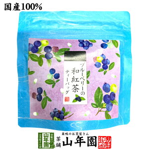 �y���Y�g���z�u���[�x���[�̘a�g�� 2g×5�p�b�N �������� �É����Y�g�� �u���[�x���[�e�B ���Y�g�� ���{�� �u���[�x���[ �e�B�[�o�b�O �g�� �e�B�[�p�b�N �_�C�G�b�g �M�t�g �v���[���g ���j