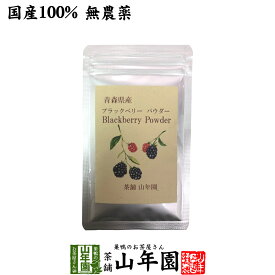 国産100% 青森県産 無農薬 無添加 ブラックベリー粉末 40gキイチゴ ポリフェノール アントシアニン ビタミン 送料無料 健康食品 妊婦 ダイエット セット ギフト プレゼント ホワイトデー プチギフト お茶 2026 内祝い お返し