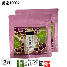 【国産紅茶】甲州ぶどうの和紅茶 2g×5パック×2袋セット 送料無料 静岡県産紅茶 山梨県産ぶどうティーバッグ ティーパック ダイエット ギフト プレゼント 内祝い お返し バレンタイン プチギフト 2026 お茶 男性 女性 父 お祝い 誕生日