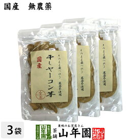 【国産】干しヤーコン芋 60g×3袋セット国産 無農薬 無添加 そのまま食べれる 健康 送料無料 ダイエット ギフト プレゼント 母の日 父の日 プチギフト お茶 内祝い 2026