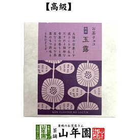 お茶チョコ 岡部 玉露 2枚入りチョコレート お菓子 緑茶 ぎょくろ茶 健康 送料無料 ダイエット ギフト プレゼント 父の日 お中元 プチギフト お茶 内祝い 2024