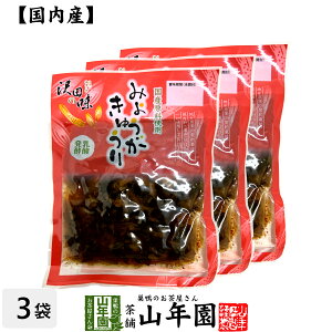 【国産原料使用】沢田の味 みょうがきゅうり しょうゆ漬 80g×3袋セット送料無料 自然と健康の郷 群馬県吾妻郡産 健康 ダイエット ギフト プレゼント お歳暮 御歳暮 プチギフト お茶 内祝い 2