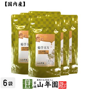 eEXiTvgE܁j62g(200mg×310)×6܃Zbgh{⏕Hi Ck    Y Β _CGbg Mtg v[g Ε Ε v`Mtg  j 2025