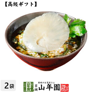 y MtgzӂЂꒃЂ×2  ނۂƏ Ђ Mtg v[g ӂЂ tJq Ђ̑f  j 蕨 Â v[g  hV̓ 20