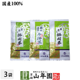 日本茶 お茶 茶葉 参拝茶100g×1袋+掛川深蒸し茶100g×2袋セット 送料無料 国産 煎茶 茶葉 掛川茶 カテキン 日本茶 ギフト 父の日 お中元 プチギフト お茶 内祝い 2024 プレゼント 還暦祝い 男性 女性 母 贈り物 香典返し お土産 お祝い 誕生日 祖父 祖母