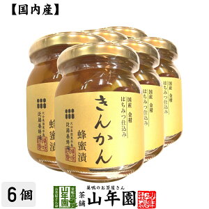 キンカン パン ジャムの人気商品 通販 価格比較 価格 Com キンカン パン ジャムの人気商品 通販 価格比較 価格 Com