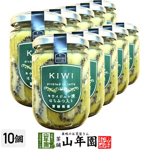 LECWЂ ݂͂ 240g(Ō`ʁF140g)×10Zbg QỸLECgWЂ Mtg v[g  hV̓ v`Mtg  j 2025