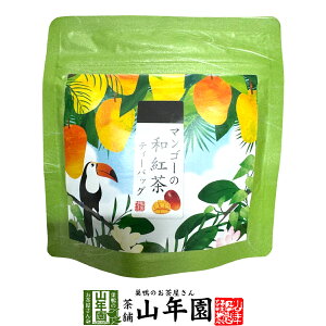 yYgz}S[̘ag 10g(2g×5pbN)  ÉYg }S[eB Yg { }S[eB[obO g eB[pbN _CGbg Mtg v[g j Ԃ 