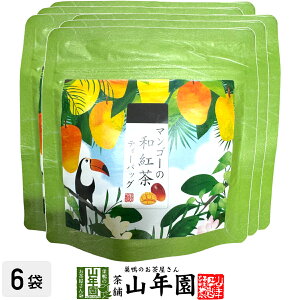 yYgz}S[̘ag 10g(2g×5pbN)×6܃Zbg  ÉYg }S[eB Yg { }S[eB[obO g eB[pbN _CGbg Mtg v[g 