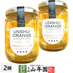 B݂WЂ ݂͂240g(Ō`ʁF150g)×2Zbg QỶB݂gWЂ Mtg v[g Ε Ε v`Mtg  j 2025