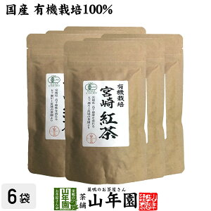 yY 100%z{g 50g×6܃Zbg [t {茧Y  t v`Mtg  N _CGbg Zbg Mtg v[g Ε Ε v`Mtg  2025 j Ԃ