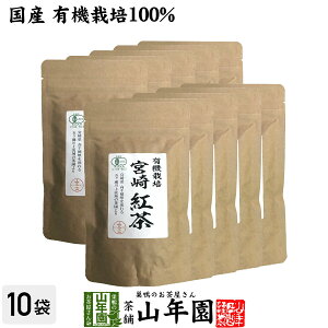 yY 100%z{g 50g×10܃Zbg [t {茧Y  t v`Mtg  N _CGbg Zbg Mtg v[g Ε Ε v`Mtg  2025 j Ԃ