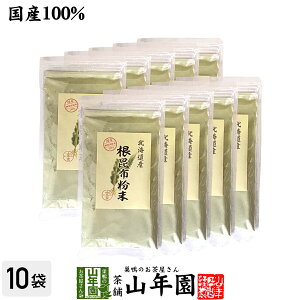 yYzz 100g×10ܖkCYz ԃpE_[ 蕨 Mtg v[g Ε Ε v`Mtg 2025 j Ԃ