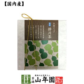お茶チョコ 東山 掛川茶 2枚入りチョコレート お菓子 緑茶 まっちゃ 健康 送料無料 国産 緑茶 バレンタイン ギフト プレゼント プチギフト お茶 内祝い 2026 還暦祝い 父 母 贈り物 香典返し