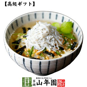 y Mtgz炷Ђ  ނۂƏ Ђ Mtg v[g 炷 VX Ђ̑f  j 蕨 Â v[g Ε Ε 2025 v`Mtg