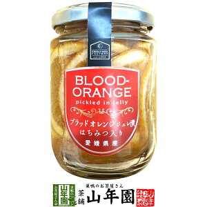 ubhIWWЂ ݂͂ 240g(Ō`ʁF140g) QỸubhIWgWЂ Mtg v[g Ε Ε v`Mtg  j 2025