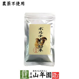 【本場イタリア産無農薬100%】 ポルチーニ茸の粉末 40g 無農薬で栽培されたポルチーニ茸を温風乾燥させて粉末に 健康 送料無料 緑茶 ダイエット ギフト プレゼント お歳暮 御歳暮 プチギフト お茶 内祝い 2025