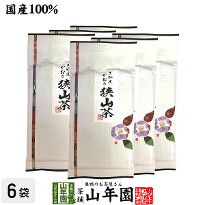 {  t R   100g×6܃Zbg Y100 ʌY Β Ε Ε Mtg v[g v`Mtg  j 2025 җj j    蕨 T