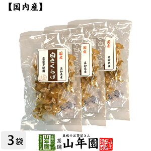 yY100%z炰 23g×3܃Zbg  VLNQ ؎ Mtg v[g  hV̓ v`Mtg  j 2025
