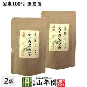 Y100% _ Y܂͒쌧Y XCJY 1.5g×15pbN×2܃Zbg eB[pbN eB[obOjhE E~ LMJ   N Dw _CGbg Zbg Mtg 