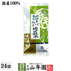 {  t Ƃʂn 100g×24܃Zbg |쒃 [ Y  Β Mtg Ε Ε 2025 v`Mtg  j v[g җj j    蕨 