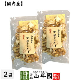 楽天市場 乾燥 ヤマブシタケの通販