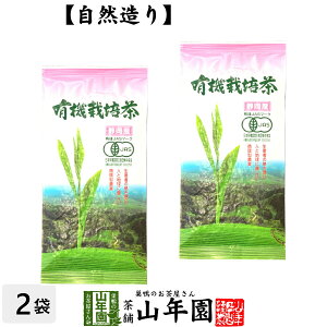 {  t ÉY L@͔| 100g×2܃Zbg Y100 ÉY Β Ε Ε Mtg v[g v`Mtg  j 2025 җj j    蕨 TԂ