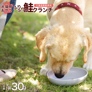 ybgt[h ӂӂ  N` 130g  L kCY 񂿂 ˂ Y q[}O[h SS hbOt[h Lbgt[h  |Cg