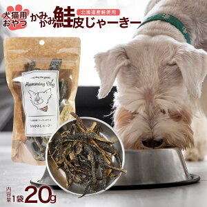 ybgt[h ݂  [[ 120g  L kCY 񂿂 ˂ Y q[}O[h SS hbOt[h Lbgt[h  |Cg