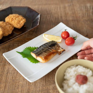 [R(miyama.) cecima-- 23.5cmĂM  { Z aH pM XNGAv[g pv[g lpM