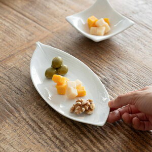 [R(miyama.) leafy-[tB- 22.5cmv[g  { Z mH M ό`M Ov[g