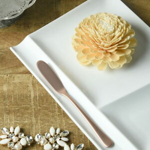  SALUS gGKe sNS[h o^[iCt { O mH