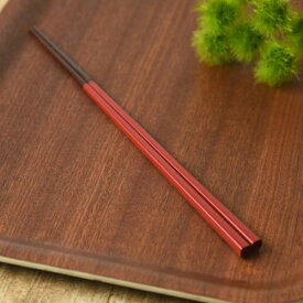 にっぽん伝統色箸 古代朱(こだいしゅ) 日本製 若狭塗り 和食器