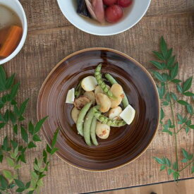 小田陶器 櫛目(kushime) 22.5cm盛皿 アメ釉 日本製 美濃焼 和食器 丸皿 丸プレート