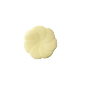 c Rgni u   { Z aH u  ͂u ͂ Jg[Xg