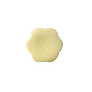 c Rgni u ~  { Z aH u  ͂u ͂ Jg[Xg